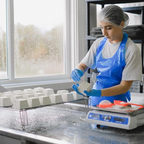 Tecnico Alimentos curso